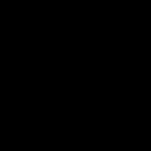 Meet your Posher, Harrison